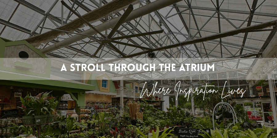 indoor greenhouse with plants and garden décor