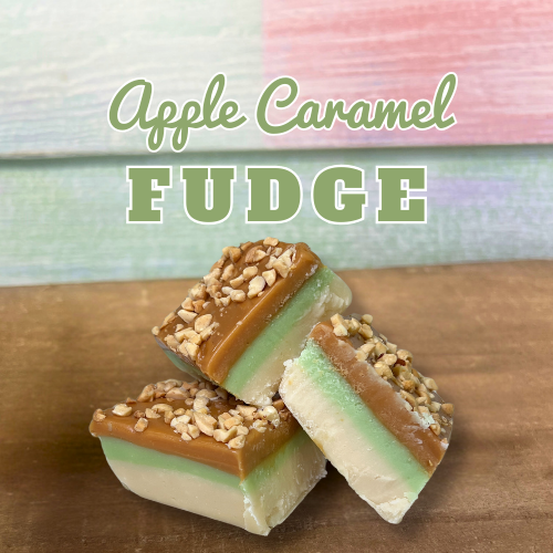 Apple Caramel Fudge in the sweet shop at Dewayne's in Selma, NC