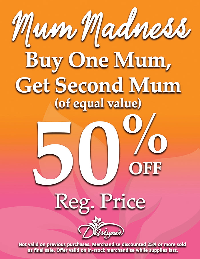 mum madness sale at Dewayne's in Selma , NC