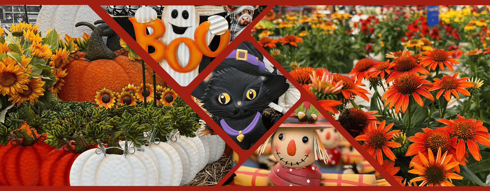 Halloween-themed collage with pumpkins, ghosts, and a black cat surrounded by flowers in the garden center at Dewayne's