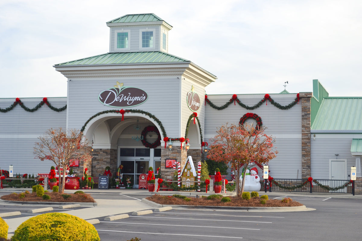 Boutique Christmas 2024