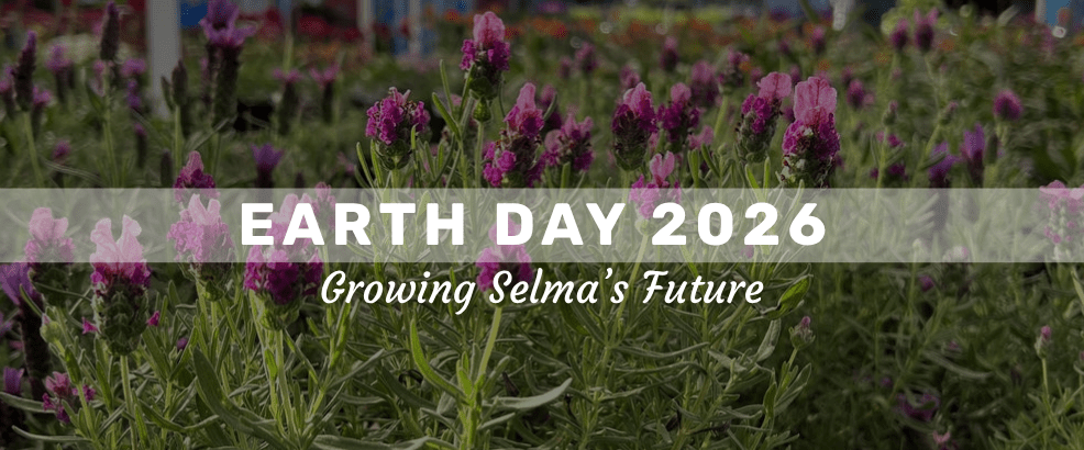 Many Lavender plants with purple blooms and text overlay that reads Earth Day 2026 Growing Selma's Future
