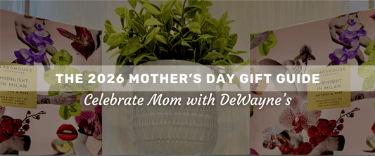 Boutique shelf display with a plant and the brand GlassHouse gift set