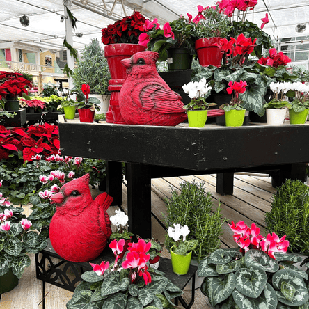 Display of potted plants and decorative red cardinals in a greenhouse at Dewayne's in Selma, NC minutes from Raleigh, Cary, Clayton, Garner, Smithfield, Goldsboro