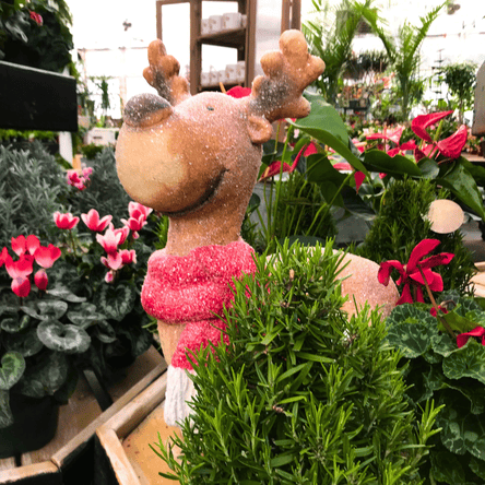 Decorative Reindeer among plants at Dewayne's in Selma, NC minutes from Raleigh, Cary, Clayton, Garner, Smithfield, Goldsboro