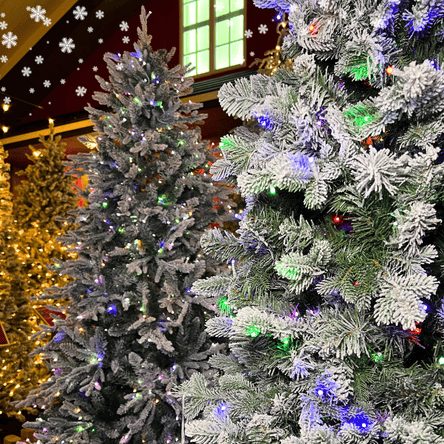 Decorated Christmas trees in Dewayne's tree lot in Selma, NC