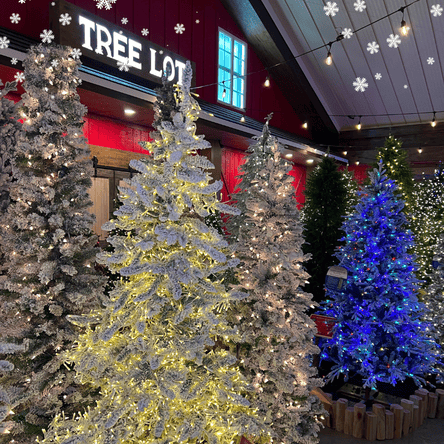 Decorated Christmas life-like trees for sale  with lights at Dewayne's in Selma, NC