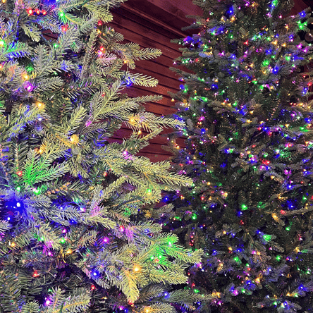 Two Christmas trees decorated with colorful lights against a wooden wall at Dewayne's in Selma, NC
