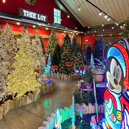 Christmas tree lot with decorated trees and a large Mickey Mouse figure at Dewayne's in Selma, NC minutes from Raleigh, Cary, Clayton, Garner, Smithfield, Goldsboro