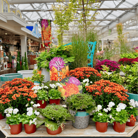 Garden specials (1)d.png__PID:420d3691-a714-46dc-968a-f68c29c059f4