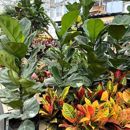 IMG_4819cd.JPG__PID:ca7be456-c7b3-4045-9e03-341e7db5784a