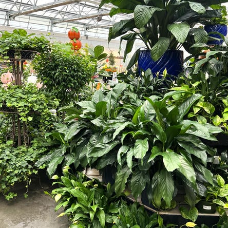 IMG_4825cd.JPG__PID:2defd114-7f2b-4244-add8-be82970f0bd7