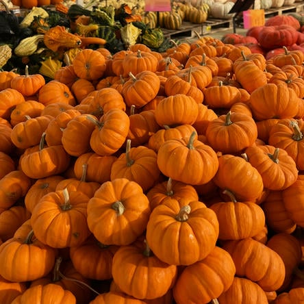 Stack of miniature pumpkins at Dewayne's in Selma, NC