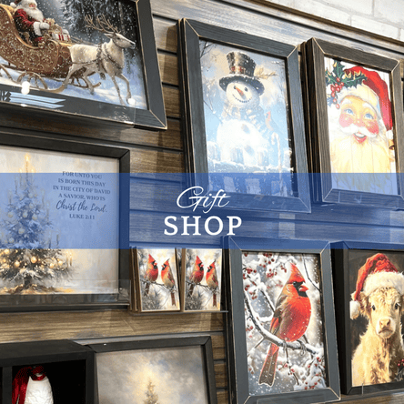 Framed winter-themed artwork displayed in the Gift shop with a blue border and snowflake decorations  in the garden center at Dewayne's in Selma, NC minutes from Raleigh, Cary, Clayton, Garner, Smithfield, Goldsboro