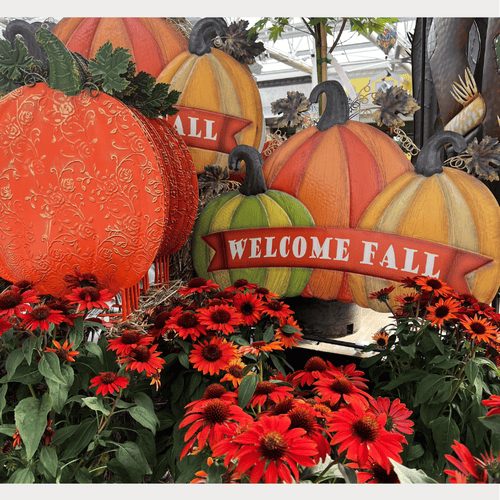 Decorative display with pumpkin yard signs and flowers featuring a 'Welcome Fall' at dewaynes