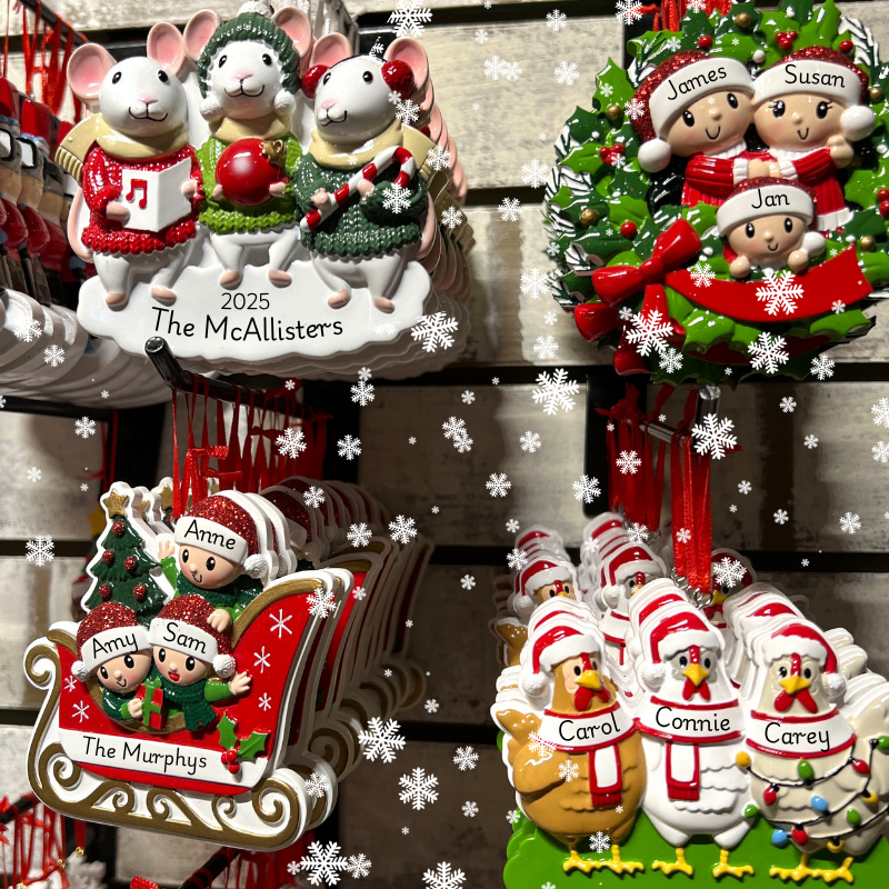 Collection of family Christmas ornaments to personalize in christmas land 2025 at dewayne's