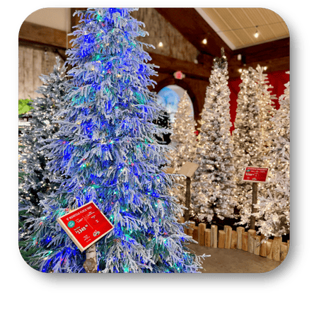 A variety of Decorated Christmas trees at Dewayne's in Selma, NC minutes from Raleigh, Cary, Clayton, Garner, Smithfield, Goldsboro