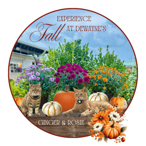 Circular design with cats, pumpkins, and flowers, featuring text about 'Experience Fall at Dewayne's' with 'Ginger & Rosie'.
