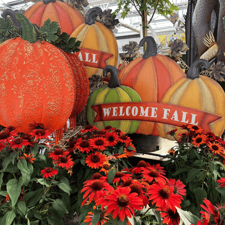 Decorative tin pumpkins with 'Welcome Fall' signs surrounded by flowers in the garden center at dewayne's