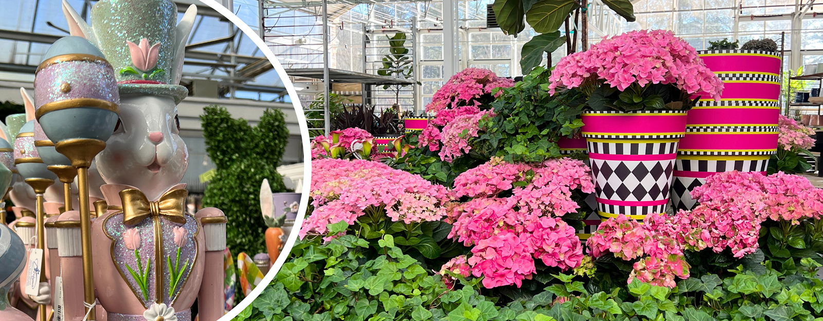Decorative rabbit figure with a floral hat next to pink hydrangeas in patterned pots in the greenhouse atrium at Dewayne's in Selma, NC minutes from Raleigh, Cary, Clayton, Garner, Smithfield, Goldsboro
