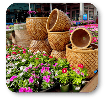 Stack of woven basket style planters with potted periwinkle flowers  in the greenhouse atrium at Dewayne's in Selma, NC minutes from Raleigh, Cary, Clayton, Garner, Smithfield, Goldsboro