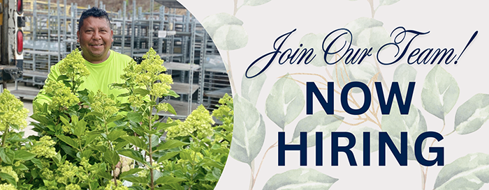 Join our team garden center employee