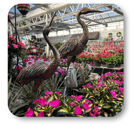 Decorative cranes among pink flowers in the greenhouse atrium at Dewayne's in Selma, NC minutes from Raleigh, Cary, Clayton, Garner, Smithfield, Goldsboro