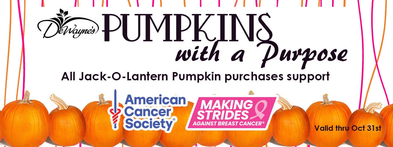 Promotional banner for 'Pumpkins with a Purpose' featuring pumpkins and support logos for American Cancer Society and Making Strides against Breast Cancer.