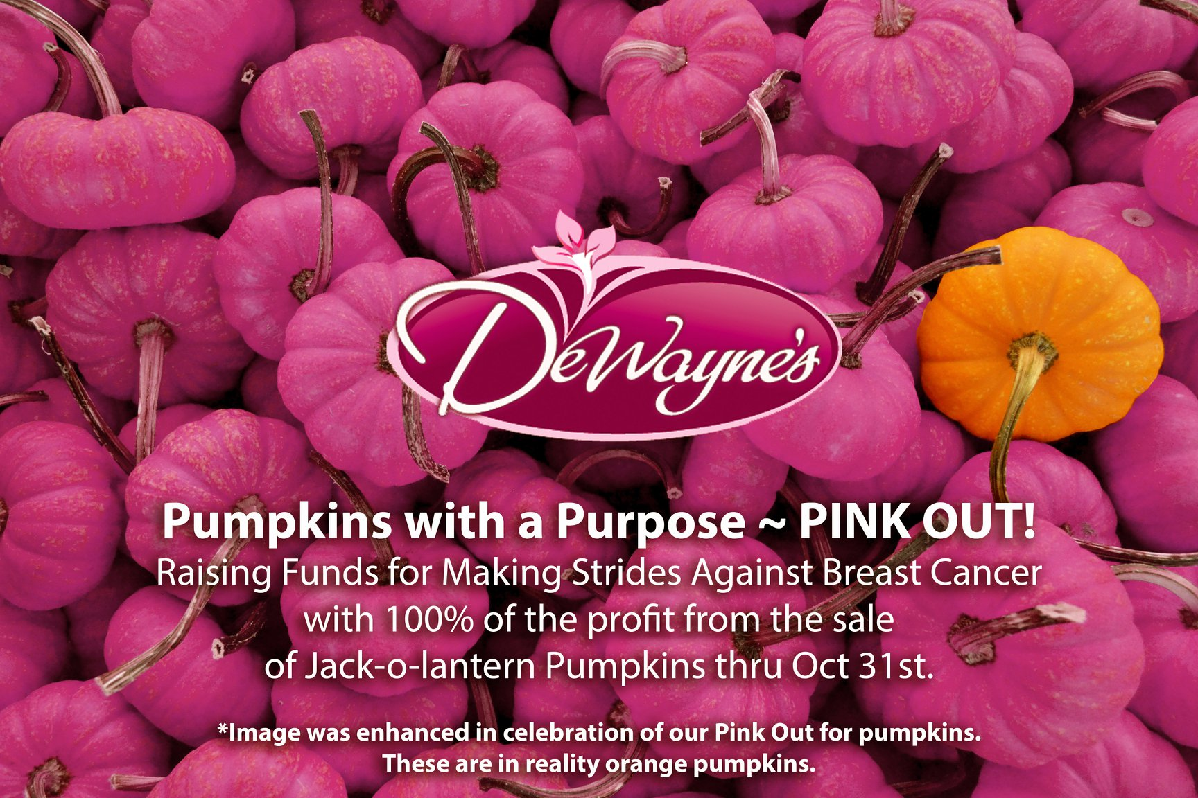Pink pumpkins with DéWayne® logo and promotional text for breast cancer awareness.