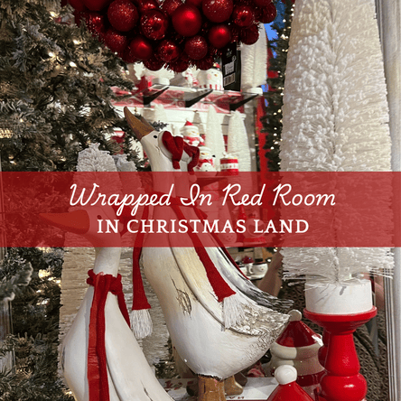 wrapped in red room open in christmas land 2025 at Dewayne's in Selma, NC minutes from Raleigh, Cary, Clayton, Garner, Smithfield, Goldsboro