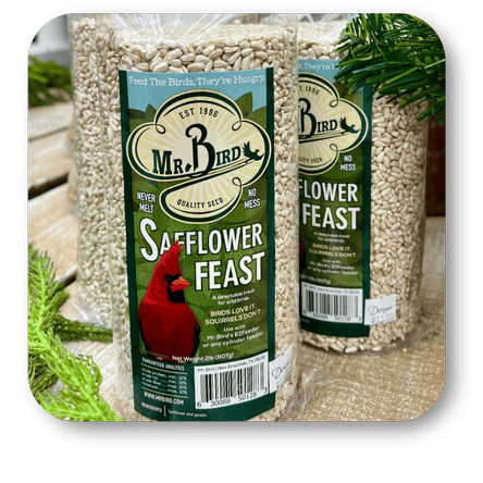 Two bags of Mr. Bird safflower feast bird seed. birds love it, squirrels don't.  in the greenhouse atrium at Dewayne's in Selma, NC minutes from Raleigh, Cary, Clayton, Garner, Smithfield, Goldsboro