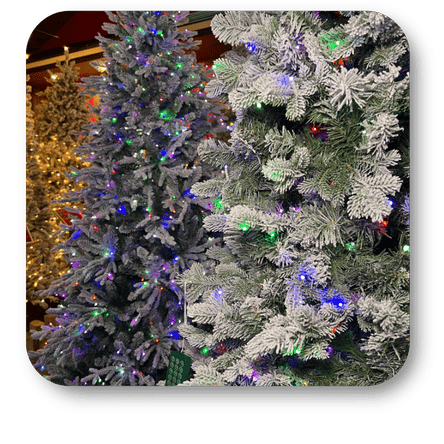 Decorated Christmas trees at Dewayne's in Selma, NC minutes from Raleigh, Cary, Clayton, Garner, Smithfield, Goldsboro