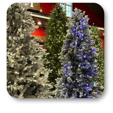 Various Christmas trees with different lighting and decorations at Dewayne's in Selma, NC minutes from Raleigh, Cary, Clayton, Garner, Smithfield, Goldsboro